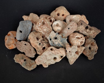 Large Hag Stones Bulk Lot 4-10, 2''- 3 1/2'' Genuine Holey Beach Rocks, Unique Stones with natural Holes