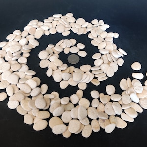Pietre da spiaggia bianche piccole alla rinfusa, lotto da 50-150, ciottoli di mare naturali da 1/2"-3/4''