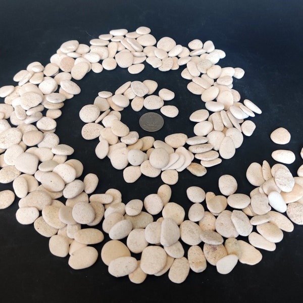 White Small Beach Stones Bulk, Lot 50-150, 1/2"-3/4'' Natural Sea Pebbles