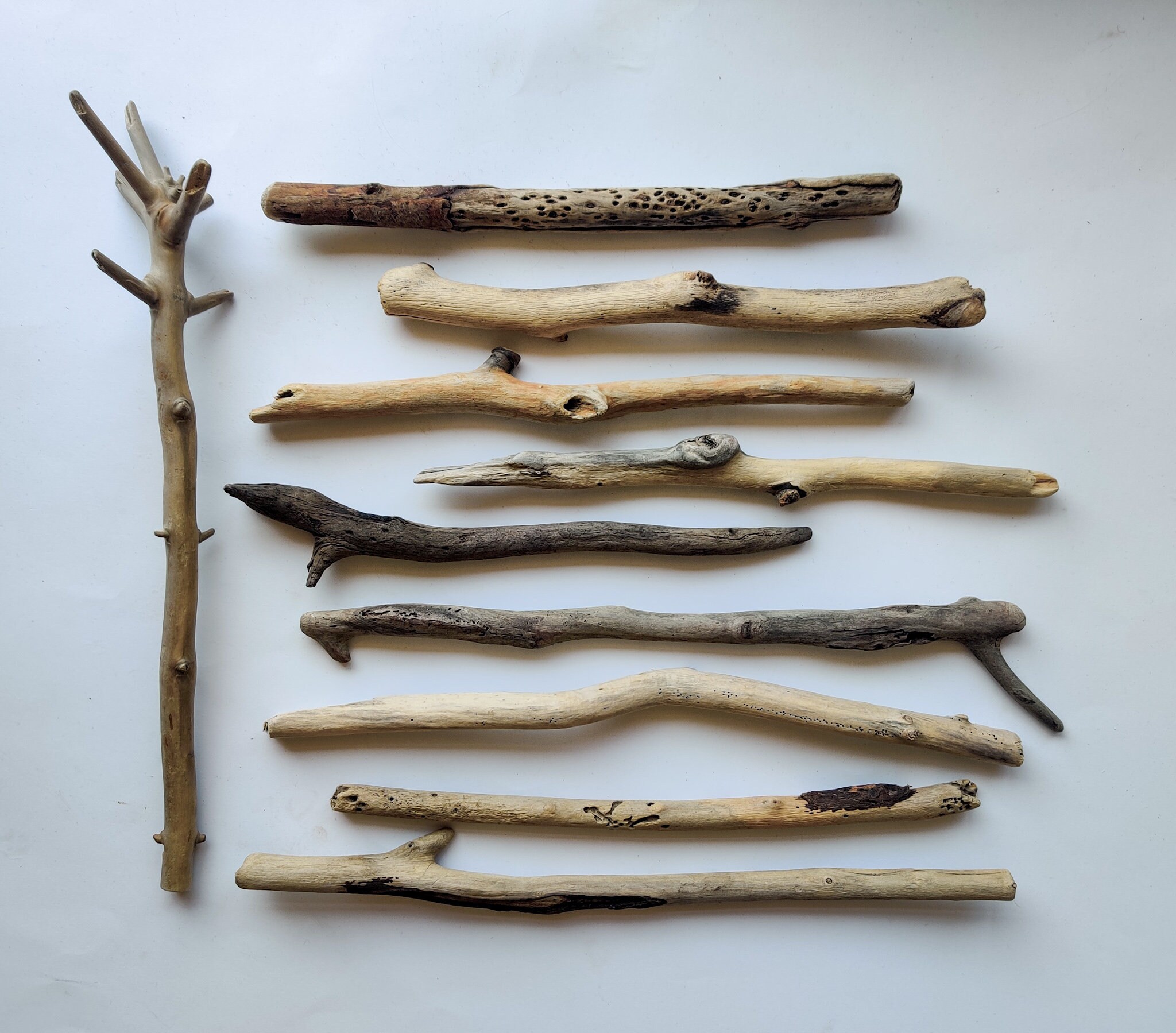 10 Driftwood Branches With Character 9''12'' Etsy