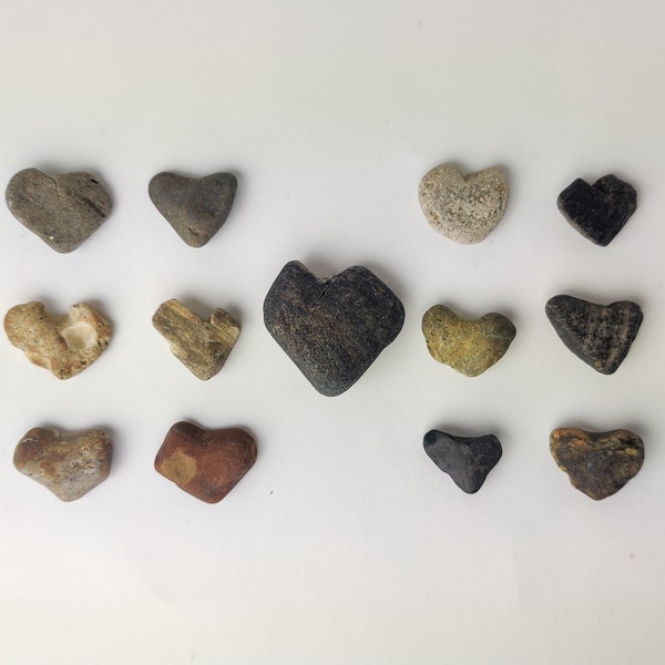 Set of 13 Perfect Heart Shaped Beach Rocks, 3/4'' - 1 1/3'' Unique Beach Stones for DIY and Decor