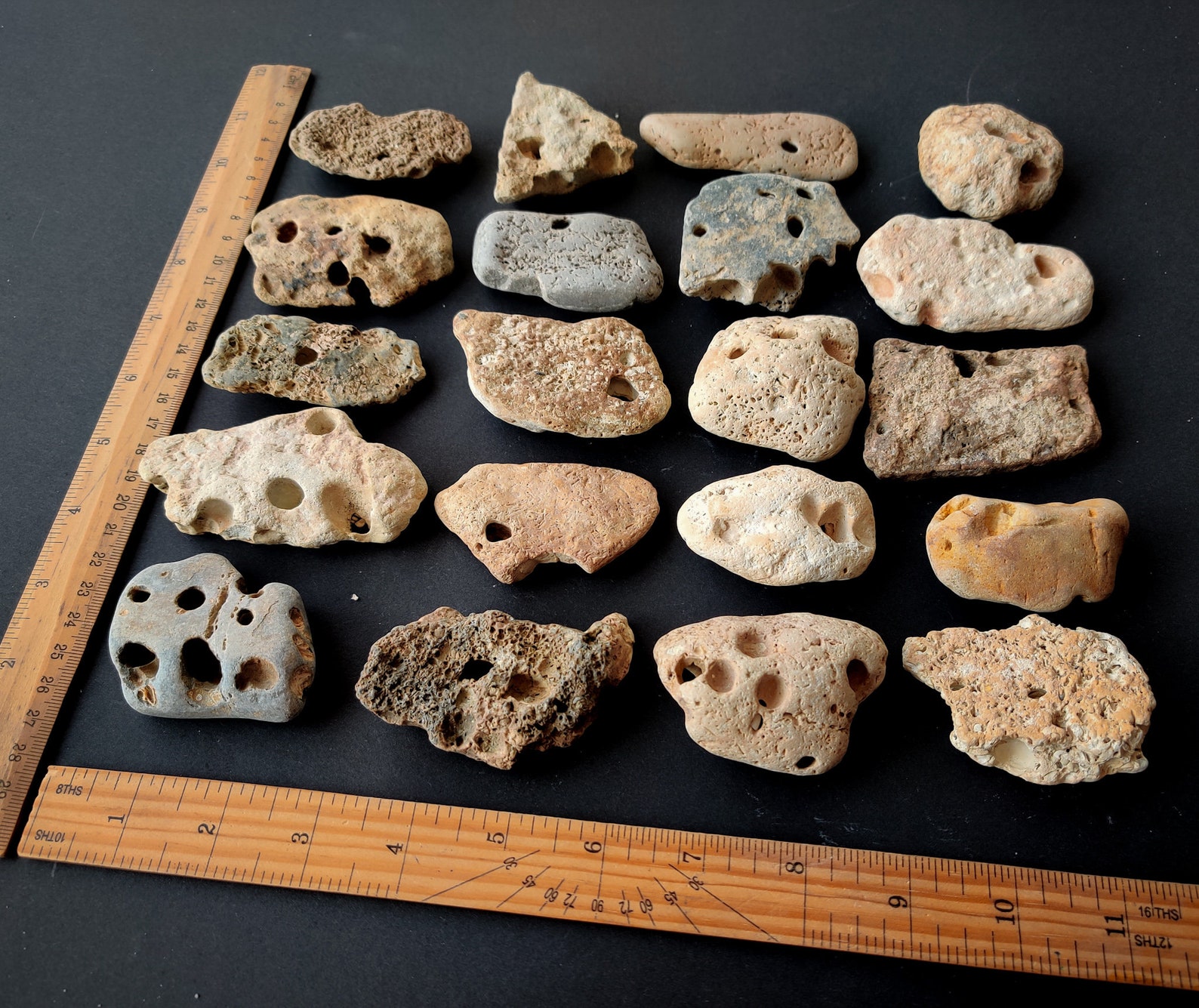 Large Hag Stones Bulk Lot 410 2'' 3 1/2'' Etsy