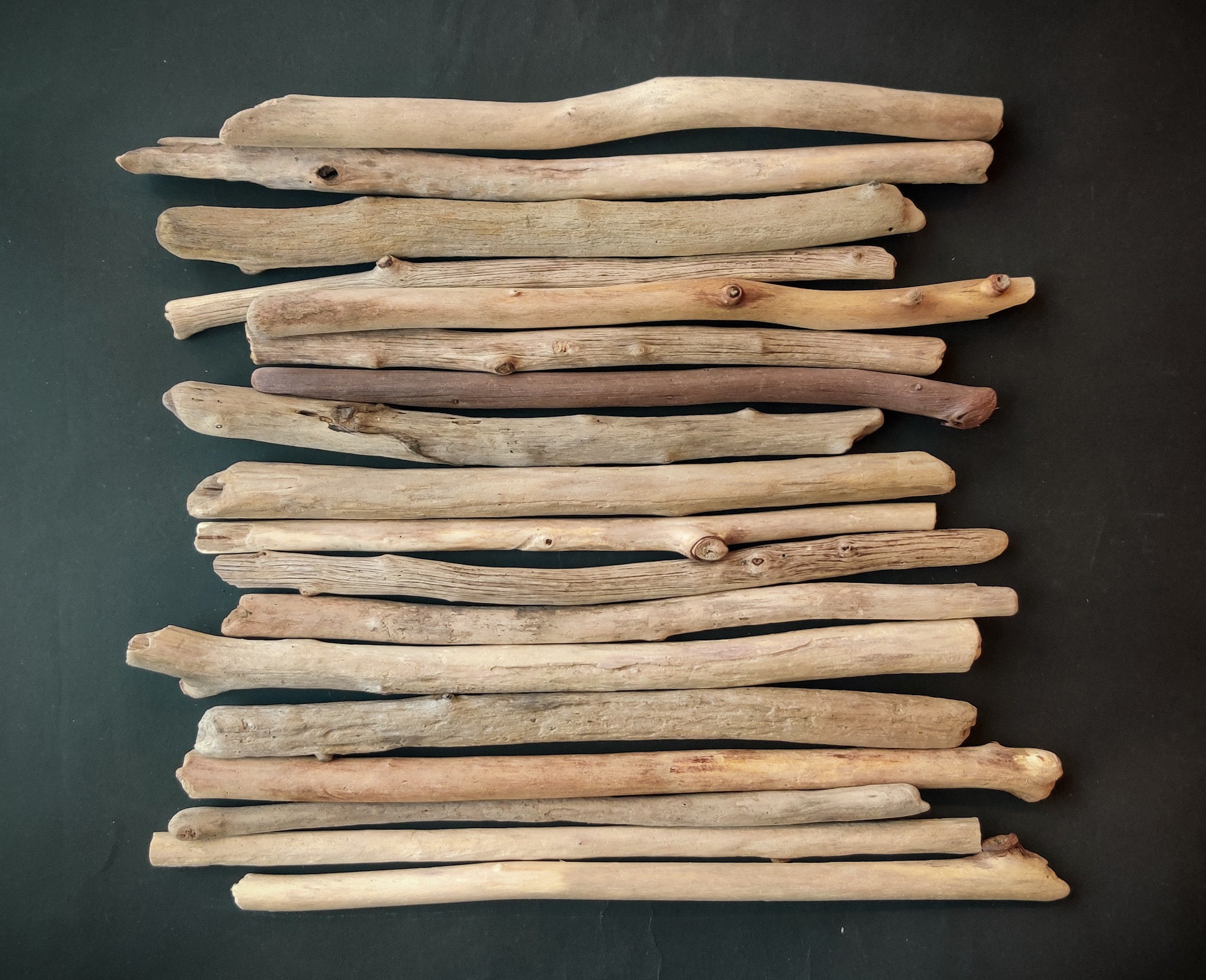 Light Color Driftwood Branches 2 Straight 1213 Long Home & Living Wood