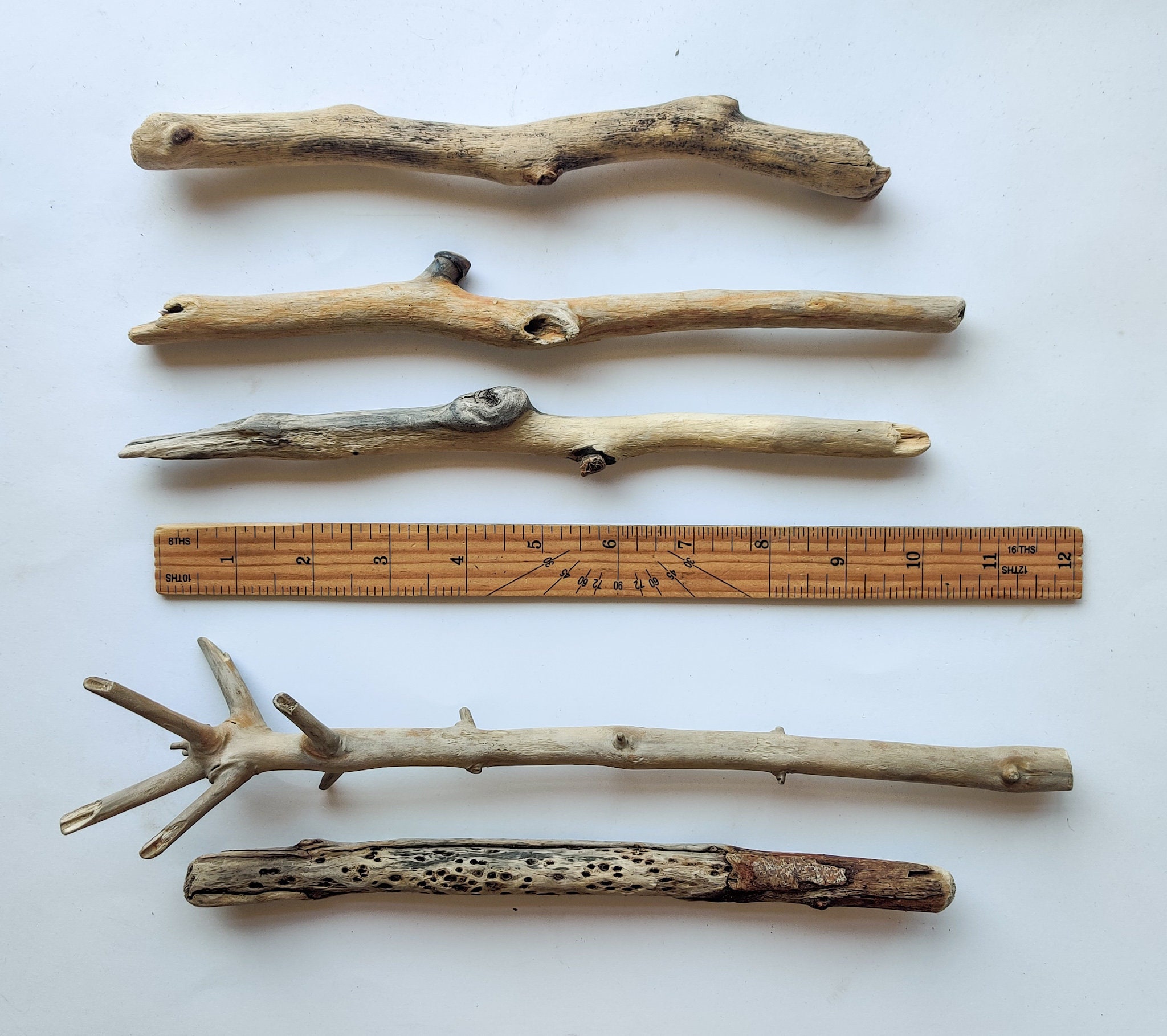 10 Driftwood Branches With Character 9''12'' Etsy