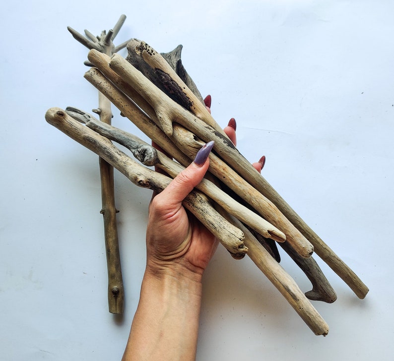 10 Driftwood Branches With Character 9''12'' Etsy