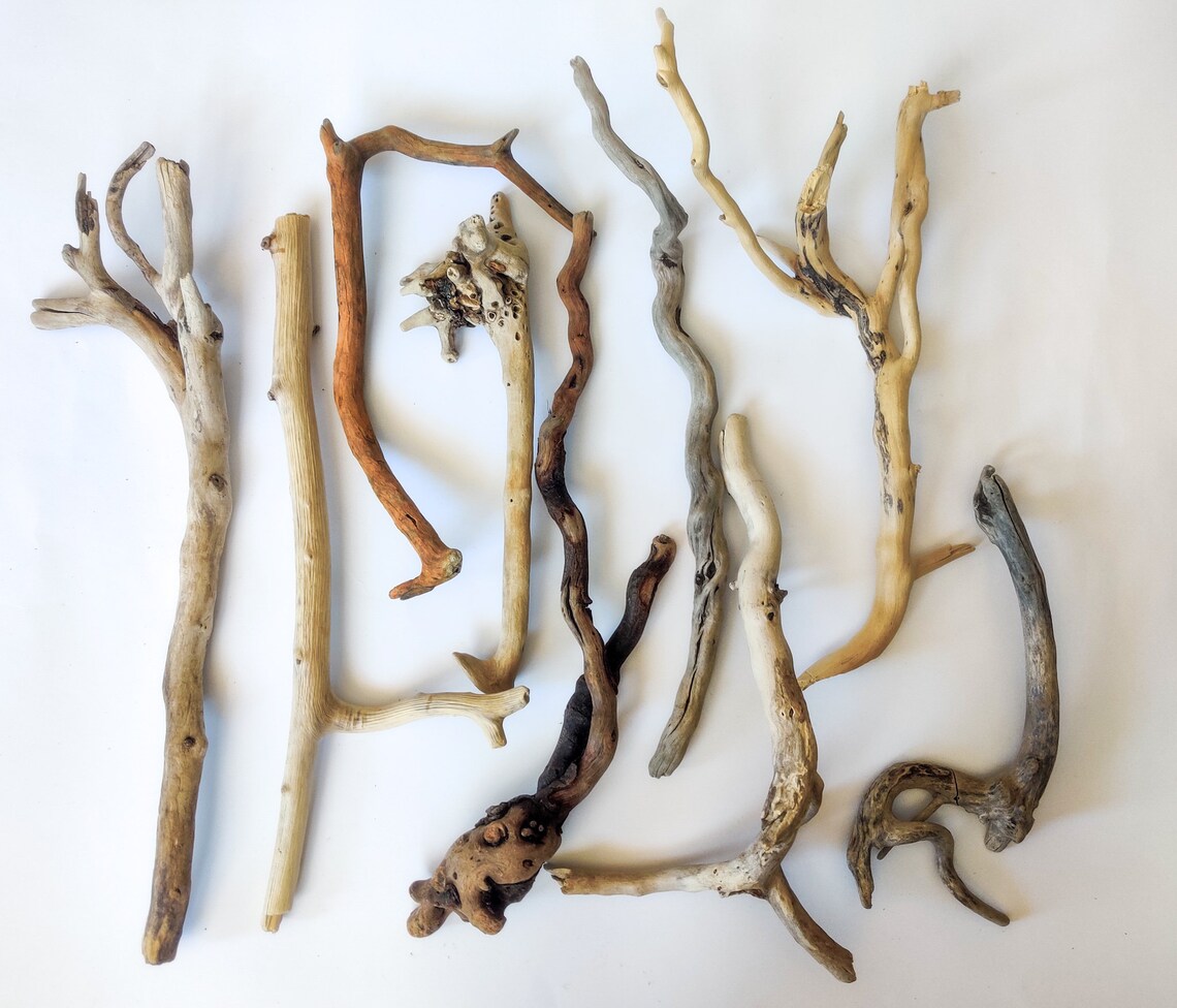 9 Unique Driftwood Branches with Character Etsy