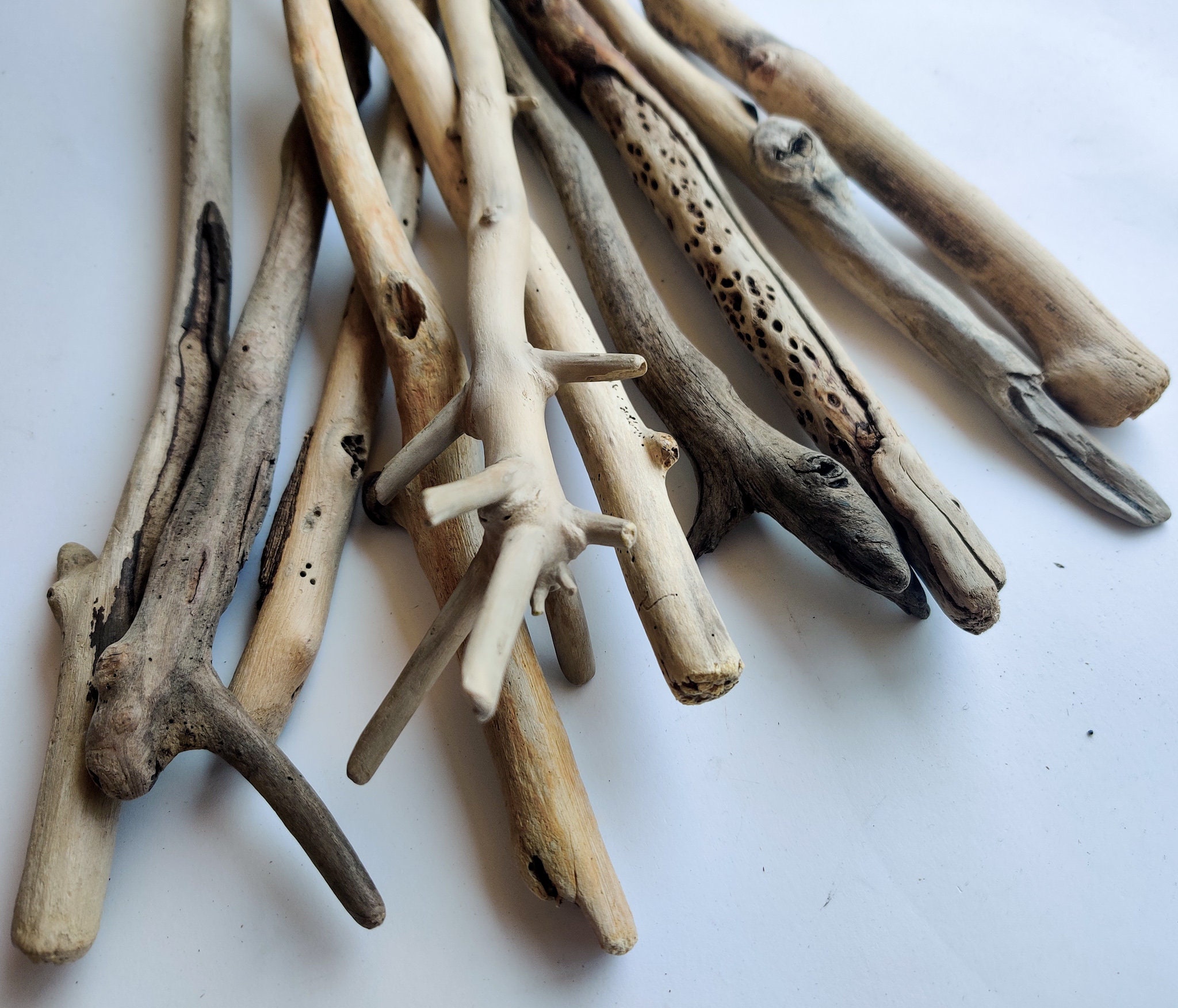 10 Driftwood Branches With Character 9''12'' Etsy