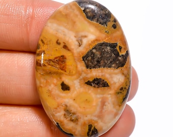 Jasper Gemstone Dual Stone Tiger Eye Bumble Mix Dual Gemstone Natural Tiger Bumble Bee Stone Designer Jasper Wirewrap Stone