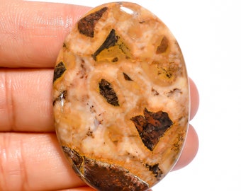 Jasper Gemstone Dual Stone Tiger Eye Bumble Mix Dual Gemstone Natural Tiger Bumble Bee Stone Designer Jasper Wirewrap Stone