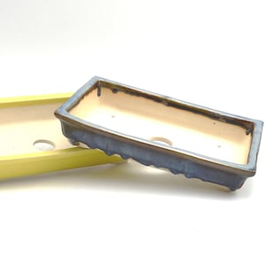 Può includere: Due vasi rettangolari per bonsai. Uno è giallo, l'altro è blu con interno color crema. Entrambi hanno fori di drenaggio e una finitura smaltata. Il vaso blu ha un bordo strutturato.