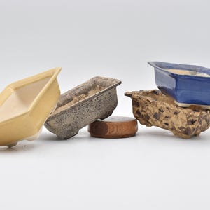 Può includere: Quattro vasi per bonsai in ceramica di diversi colori e stili. Un vaso giallo, un vaso grigio, un vaso blu e un vaso marrone a forma di roccia.