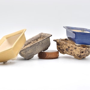 Bonsai-Schale aus glasiertem Steinzeug, 16,5 x 11,5 cm, 6 cm hoch