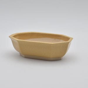 Può includere: Un vaso da fiori in ceramica ottagonale di colore marrone chiaro con una superficie leggermente ruvida.