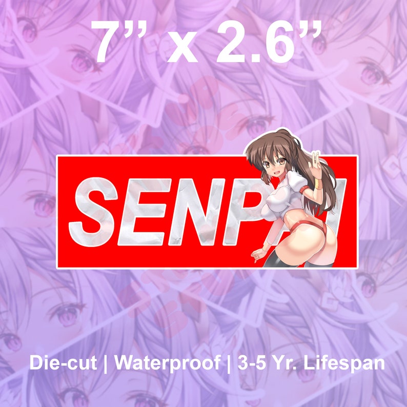 Premium Vinyl Sticker Decal Laptop Lewd Anime Girl Car Bumper Vinyl Sticker Decal Ecchi Waifu Kawaii Anime Girl Kawaii Anime Girl