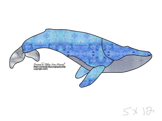 Blue Whale Template