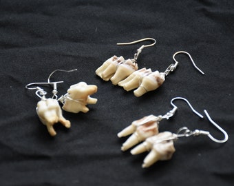 Deer tooth earrings