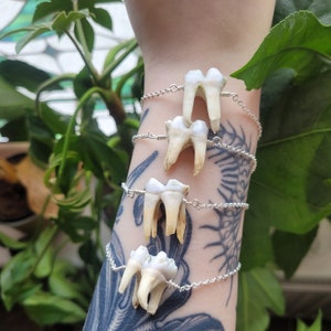 Large tooth bracelet zdjęcie 1