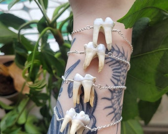 Pulsera de dientes grandes