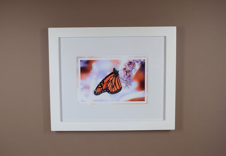 Frameable Blank Greeting Cards with Envelopes Butterfly Floral Card Set Purple Cone Flower Dahlias