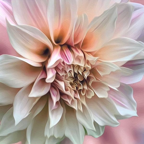 Cafe Au Lait Dahlia Giclee Print