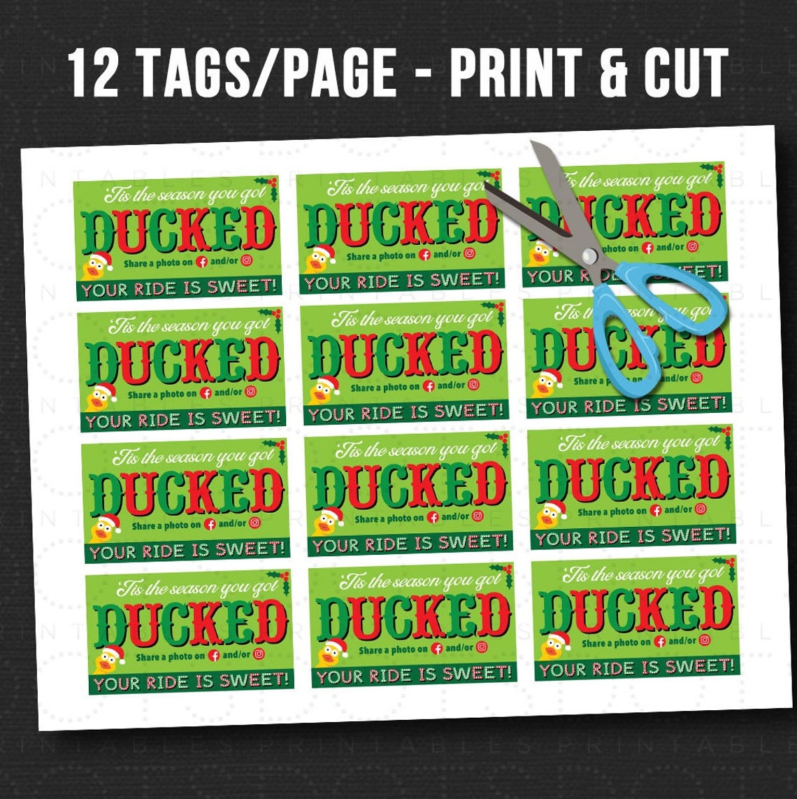 "You've Been Ducked" Duck Tags Game - 50 Cards & 50 Rubber Bands, 3.5x2 Inch Oil Painting Style