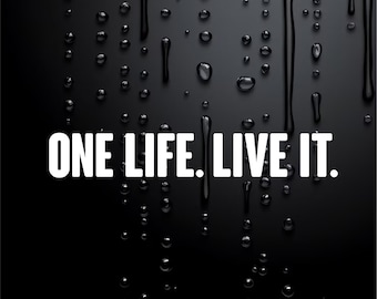 Funny Car Sticker Caravan Sticker 4X4 Rude Sticker One Life Live It W096