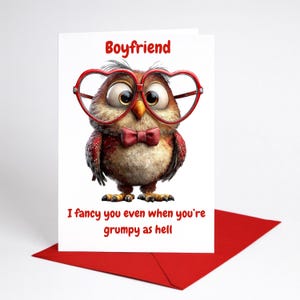 May include: A white greeting card featuring a cartoon owl with heart-shaped glasses and a bow tie. The card has the word "Boyfriend" at the top and the phrase "I fancy you even when you're grumpy as hell" at the bottom. It rests on a red envelope.