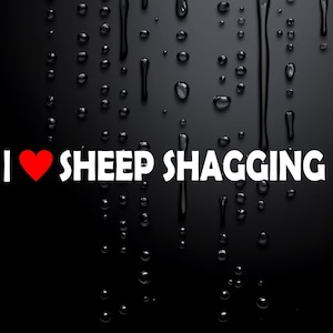 Funny Car Sticker Caravan Sticker 4X4 Rude Prank Sticker I Love Sheep Shag W077
