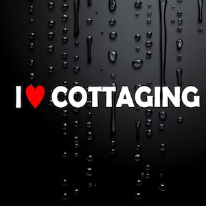 Funny Car Sticker Caravan Sticker 4X4 Rude Prank Sticker I Love Cottaging W078