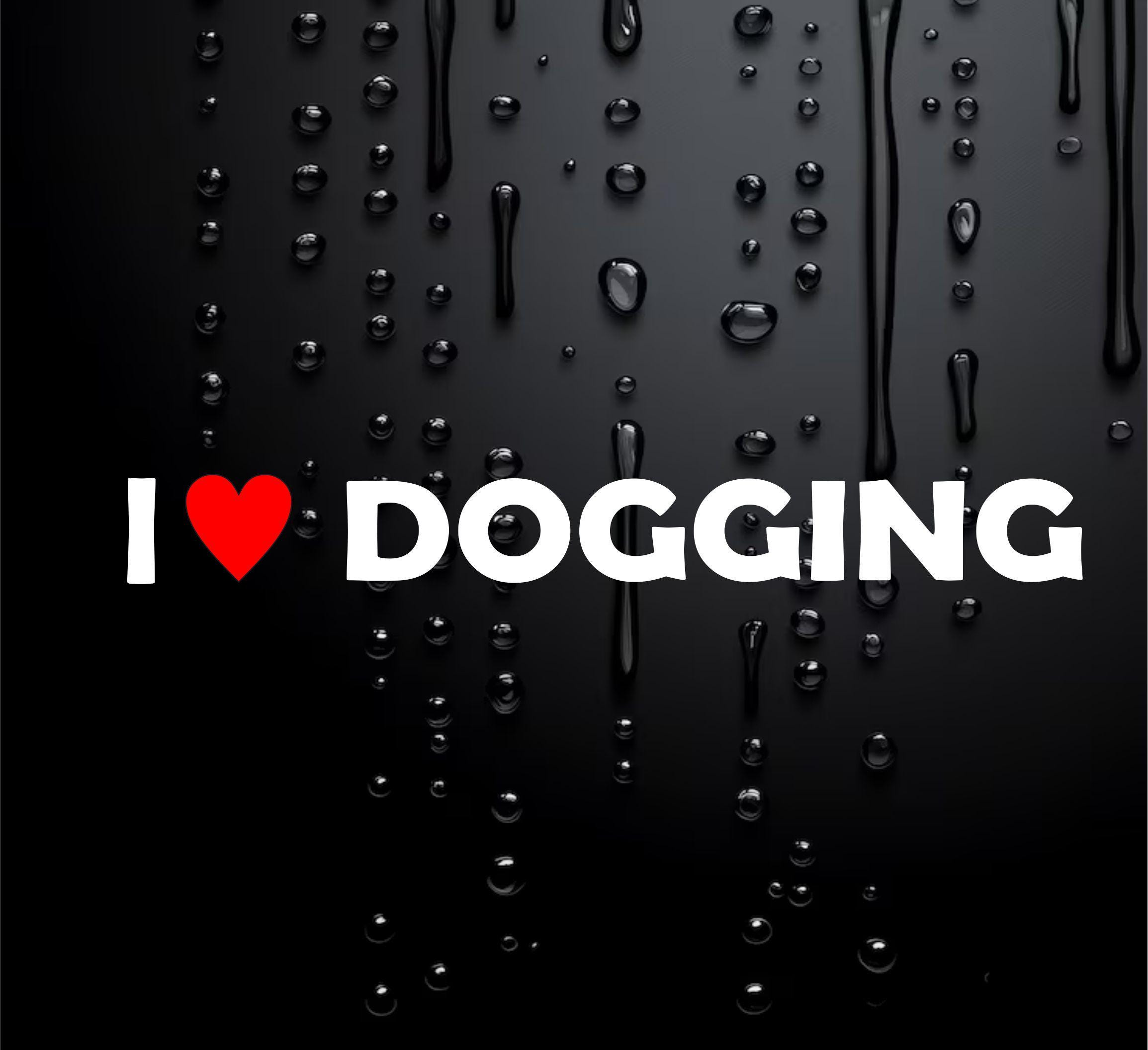 Funny Car Sticker Caravan Sticker 4X4 Rude Prank Sticker I Love Dogging W075