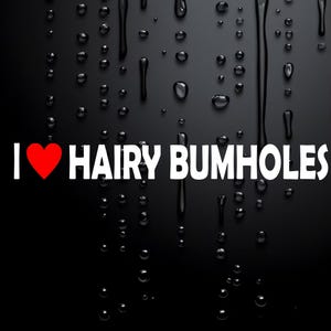 Funny Car Sticker Caravan Sticker 4X4 Rude Prank Sticker I Love Hairy Bum W076