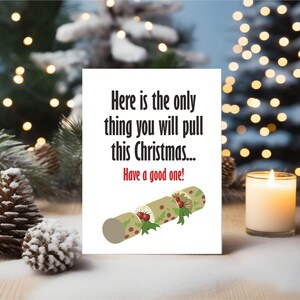 Funny Christmas Card Best Friend Sister Brother  Rude Card BCR331
