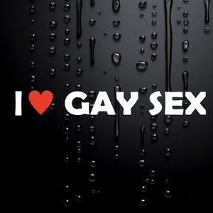 Sticker drôle « J&#39;aime le sexe gay » pour voiture : sticker blague grossière