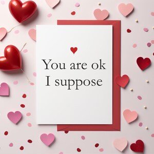 Funny Valentines Day Card Rude Card Wife Husband Boyfriend Girlfriend BCR523