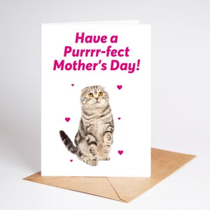 Funny Mothers Day Card Mum Mother Rude Card BC693