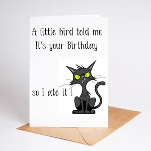 Grappige verjaardagskaart van de kat Rude Card Cat Ate Bird Papa zus vriend BC135