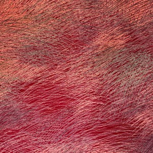 May include: Abstract textile art with a textured surface. The design features a deep red background overlaid with a pattern of fine, intersecting lines in shades of pink, peach, and gray. The overall effect is a dynamic, layered composition.