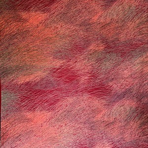 May include: Abstract textile with a textured, layered appearance. The fabric features a blend of red, pink, and gray hues, with a pattern of fine, curved lines creating a sense of movement and depth. The overall effect is a soft, flowing design.