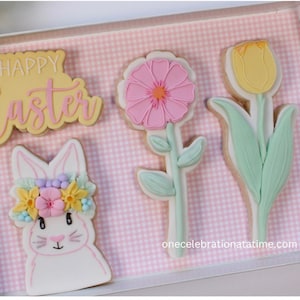 Easter Cookies, Easter Gifts, Easter Basket, Easter Cookies, Sugar Cookies, Fondant Cookies