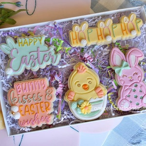 Easter Cookies Set-5, Sugar Cookies, Easter Gifts, Easter Party Favors