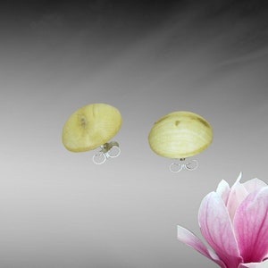 Earring plugs with wooden cabochon made of magnolia wood earrings made of wood and 925 silver handmade earring plugs wooden ear plugs image 1