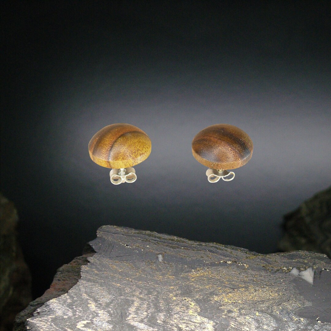 Stud Earrings Made of Vinegar Tree Wood Earring Studs Made of Wood and