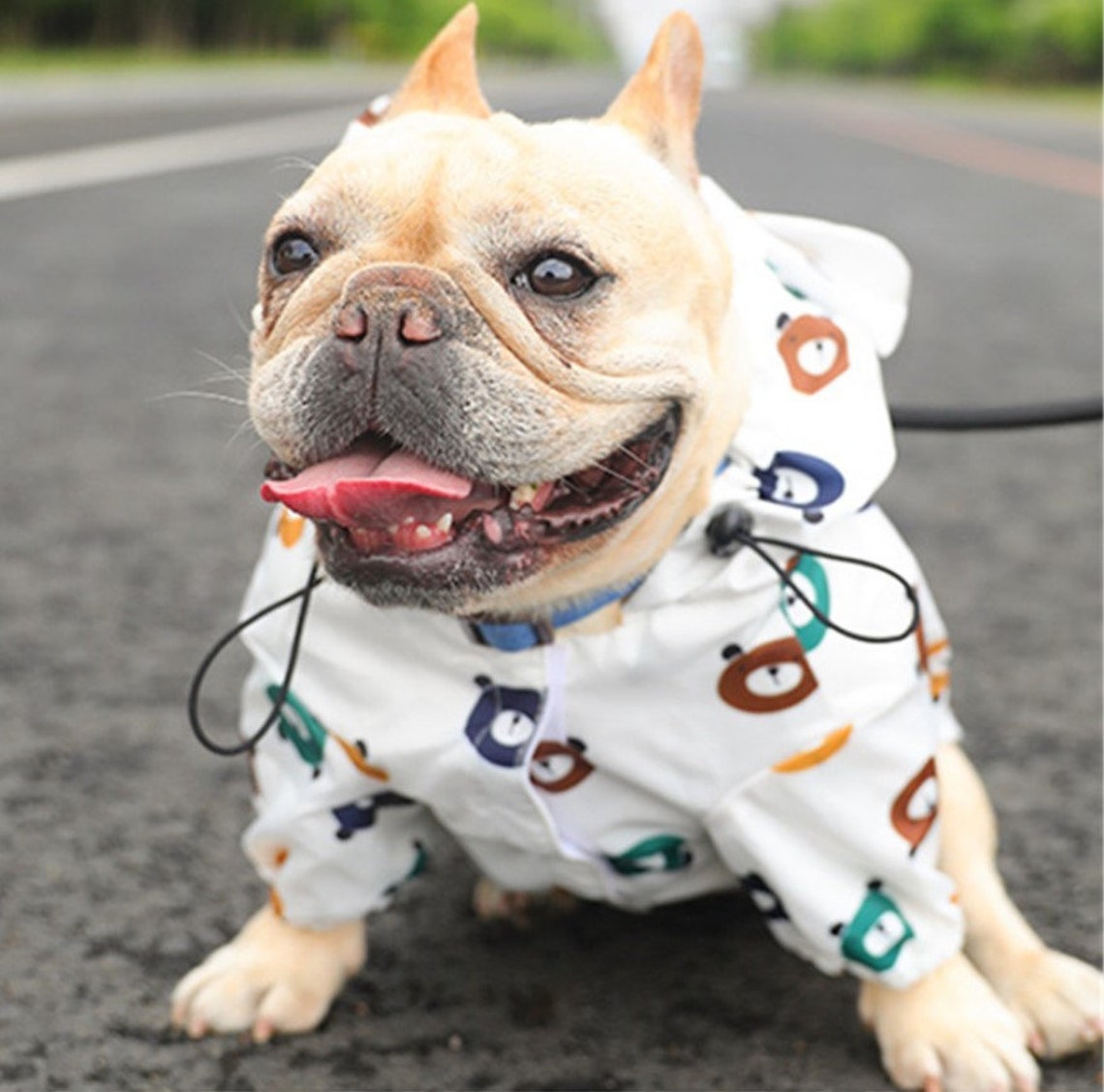 ModeHundeKleidung Hund Regenmantel Mops Französisch Etsy