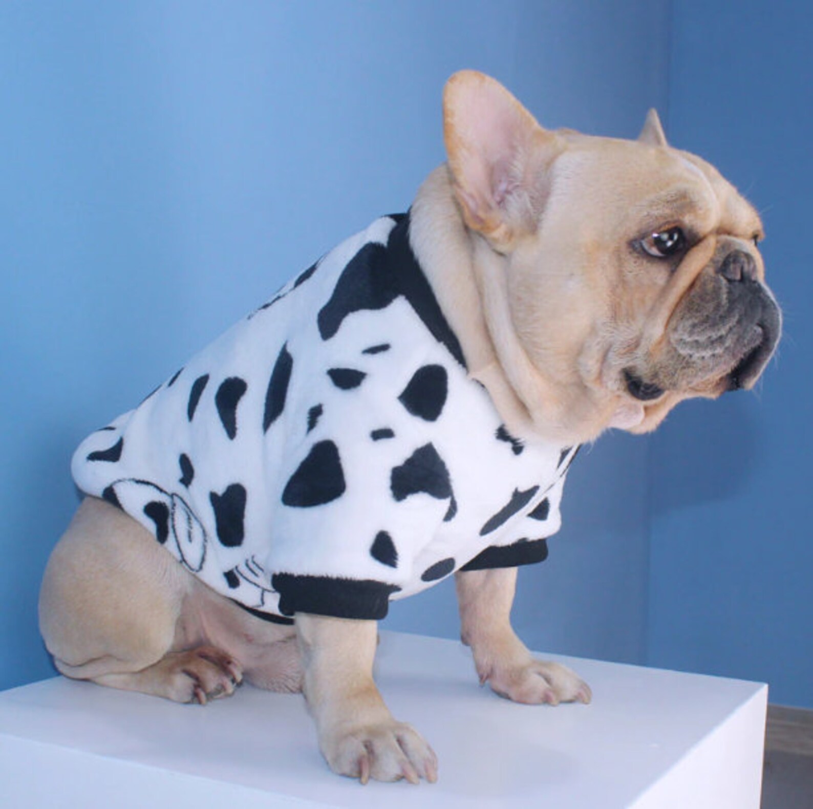 Fashion Dog Clothes Cute French Bulldog Shirt Fashion Dog Etsy