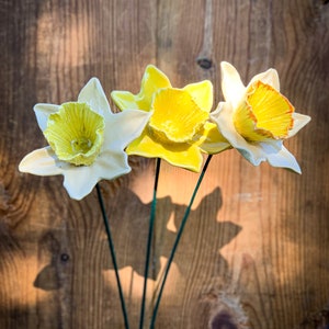 Ceramic Daffodils