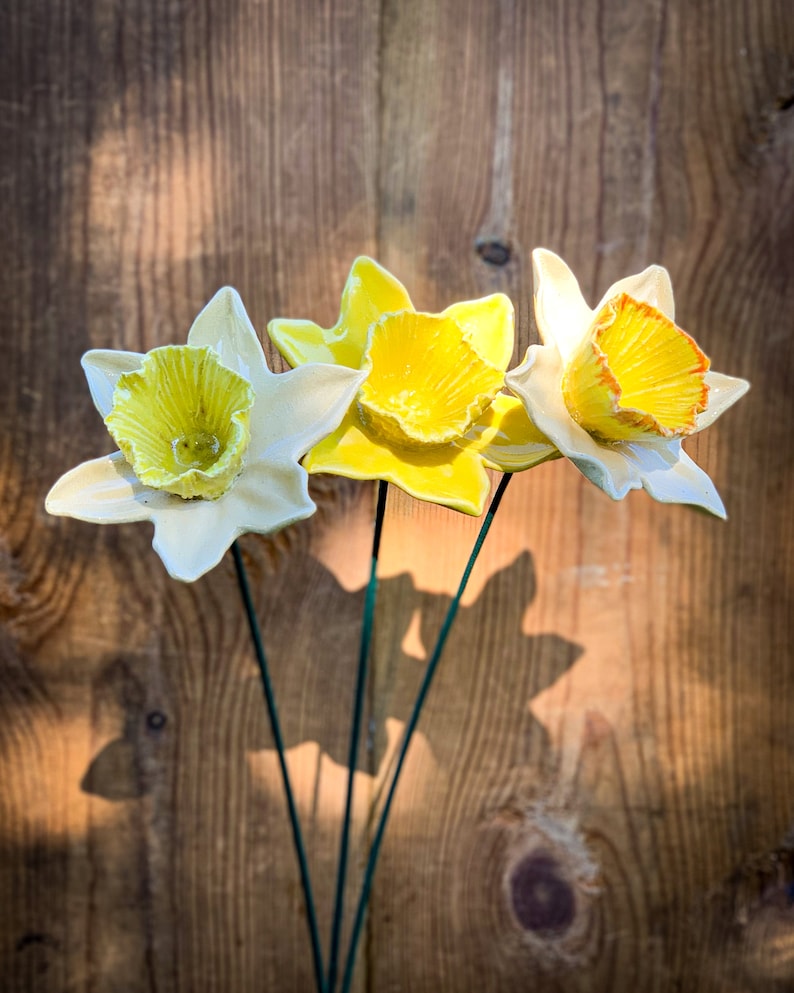 Ceramic Daffodils