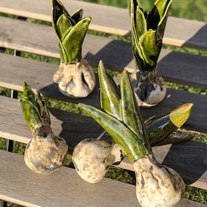 Ceramic Flower Bulbs