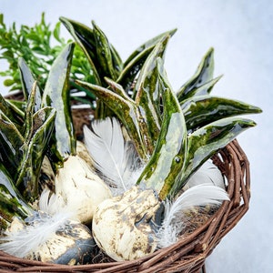 Ceramic Flower Bulbs