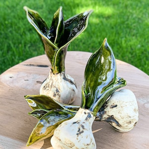 Ceramic Flower Bulbs