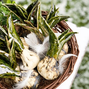 Ceramic Flower Bulbs